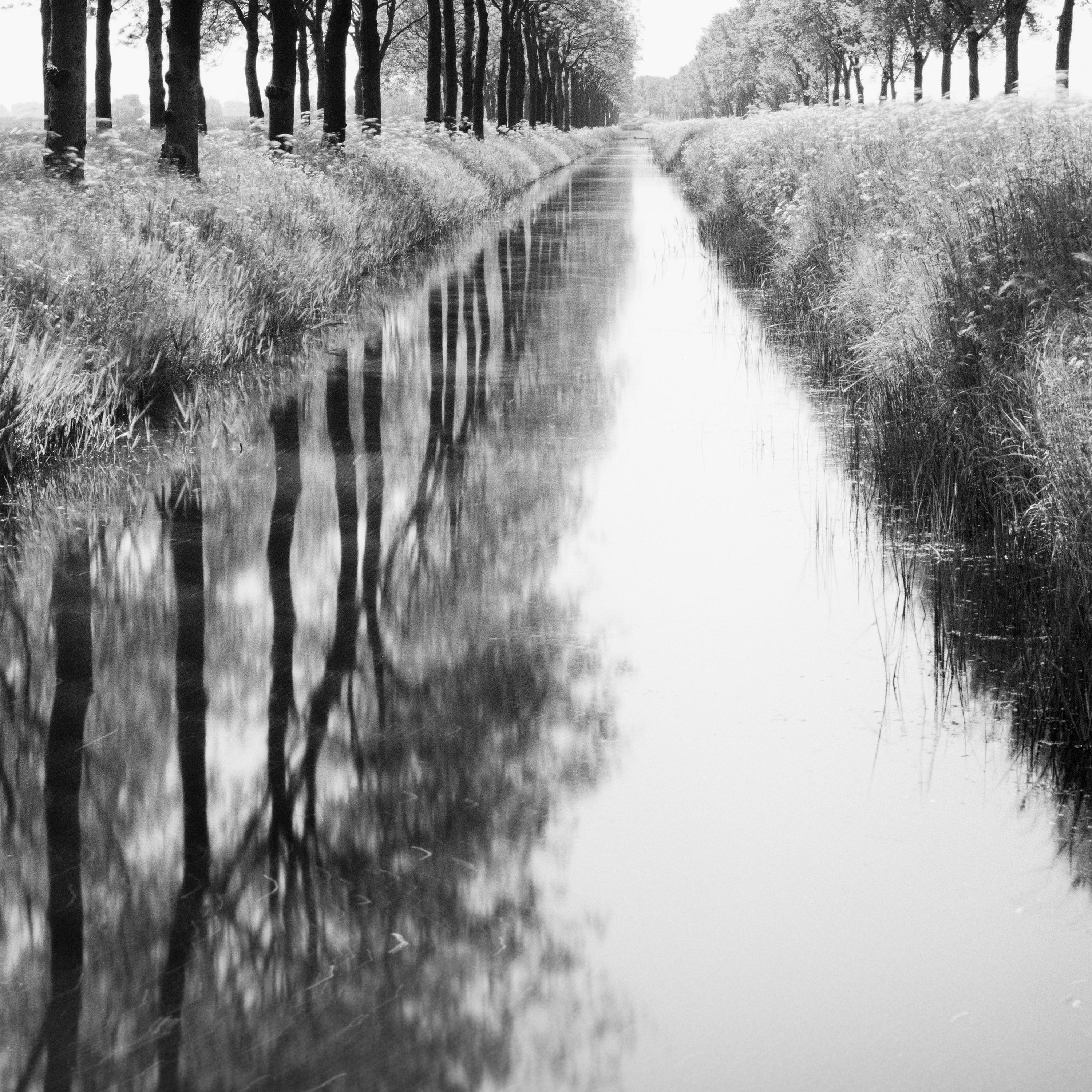 Gracht, tree avenue, water reflection, black and white long exposure photography For Sale 4