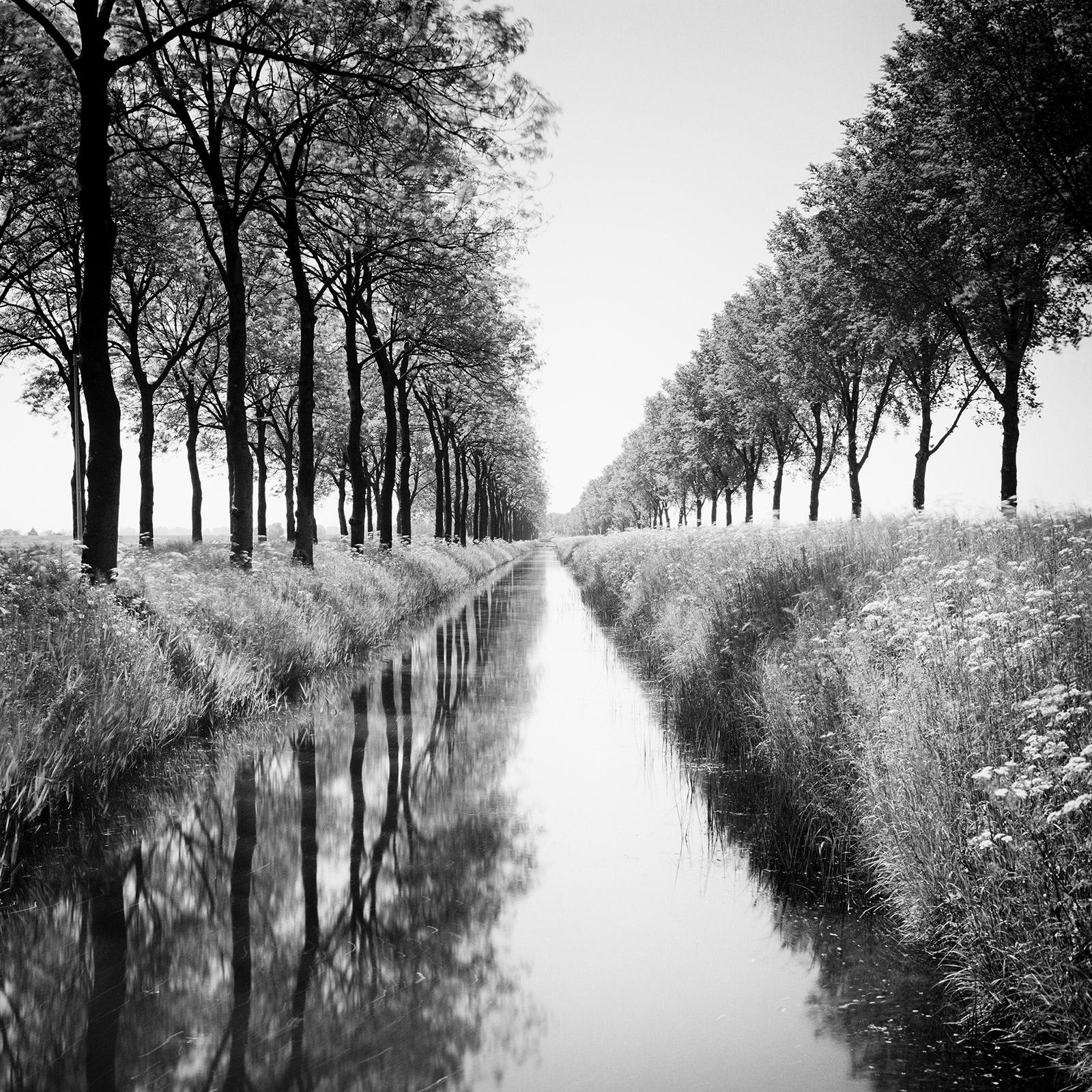 Gerald Berghammer Black and White Photograph - Gracht, tree avenue, water reflection, black and white long exposure photography