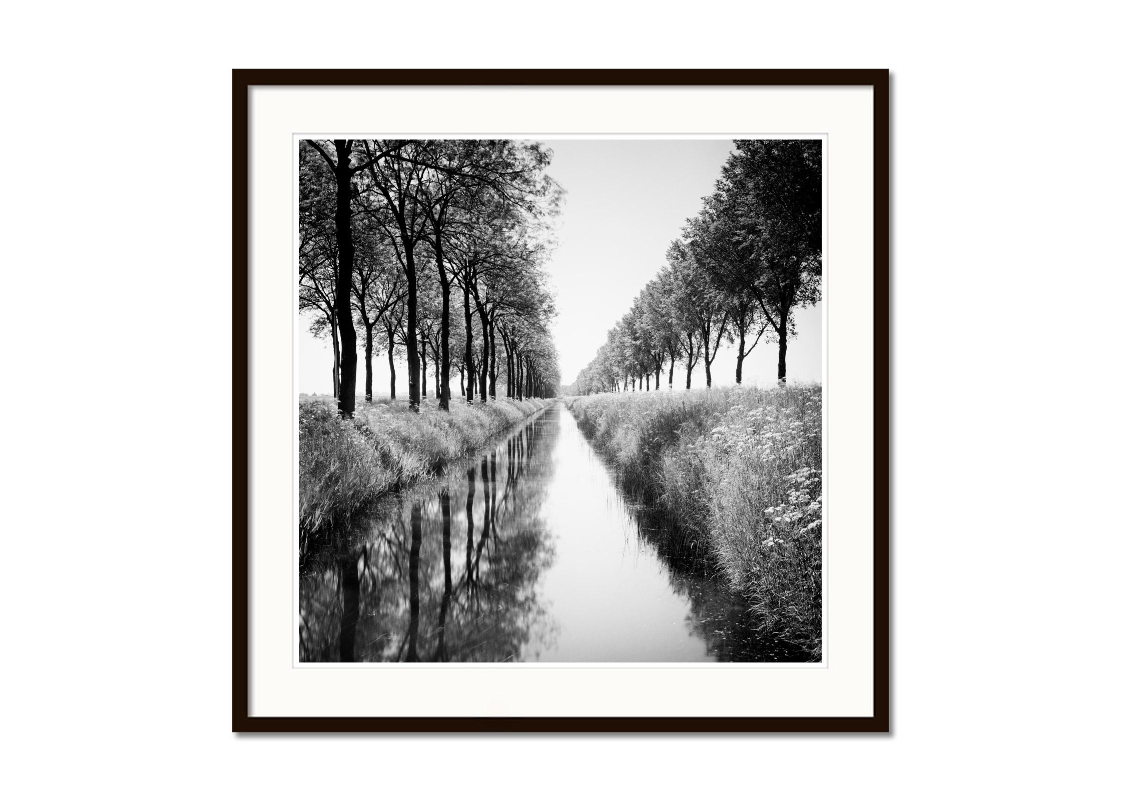 Black and White Fine Art Waterscape Photography - Avenue of trees by a water ditch with reflections in the calm water. Archival pigment ink print, edition of 5. Signed, titled, dated and numbered by artist. Certificate of authenticity included.