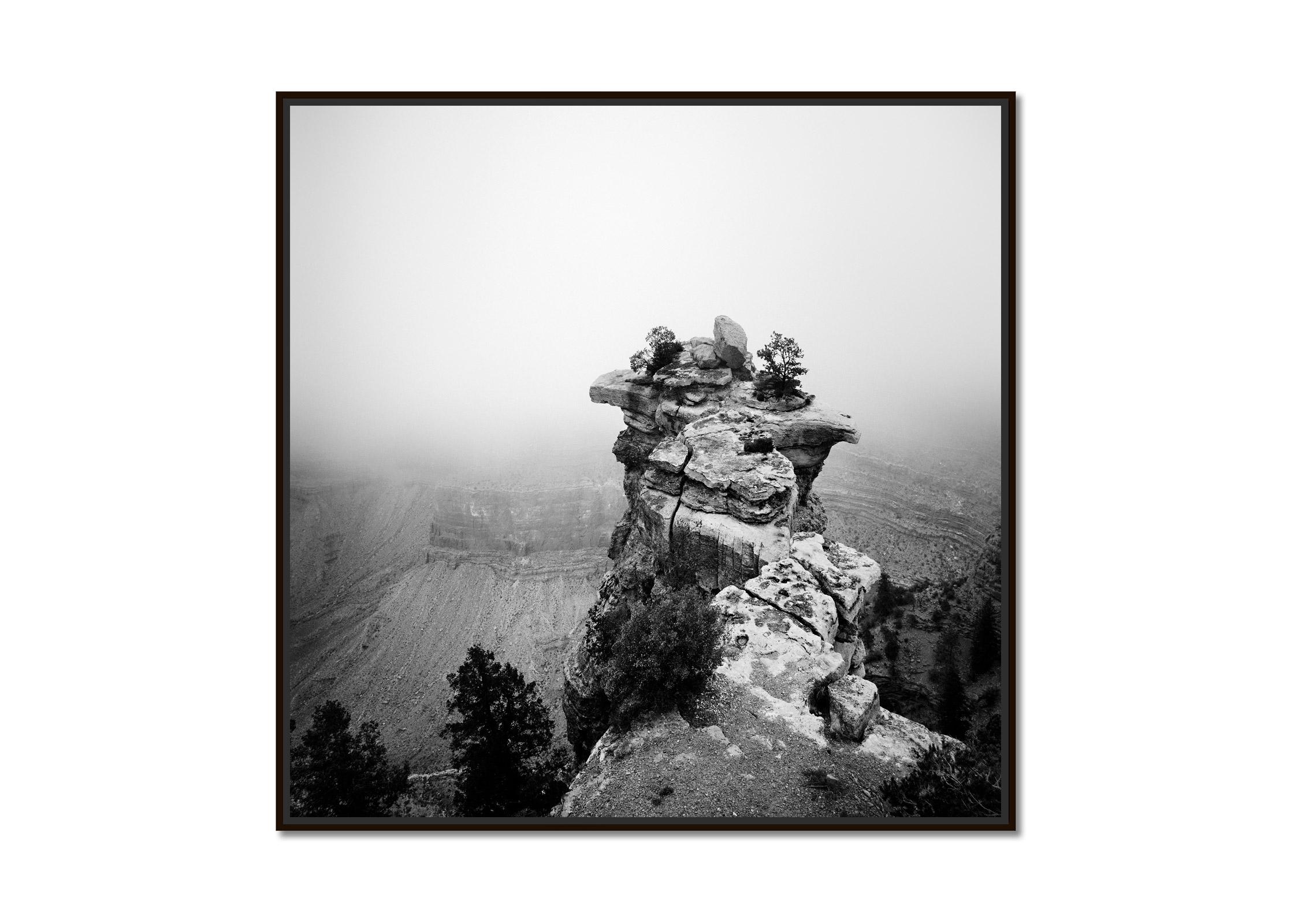 Grand Canyon, Mountains, Arizona, USA, black and white art landscape photography - Photograph by Gerald Berghammer