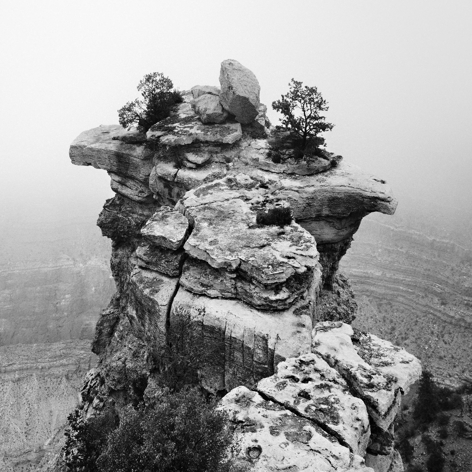 Grand Canyon, Mountains, Arizona, USA, black and white art landscape photography For Sale 4