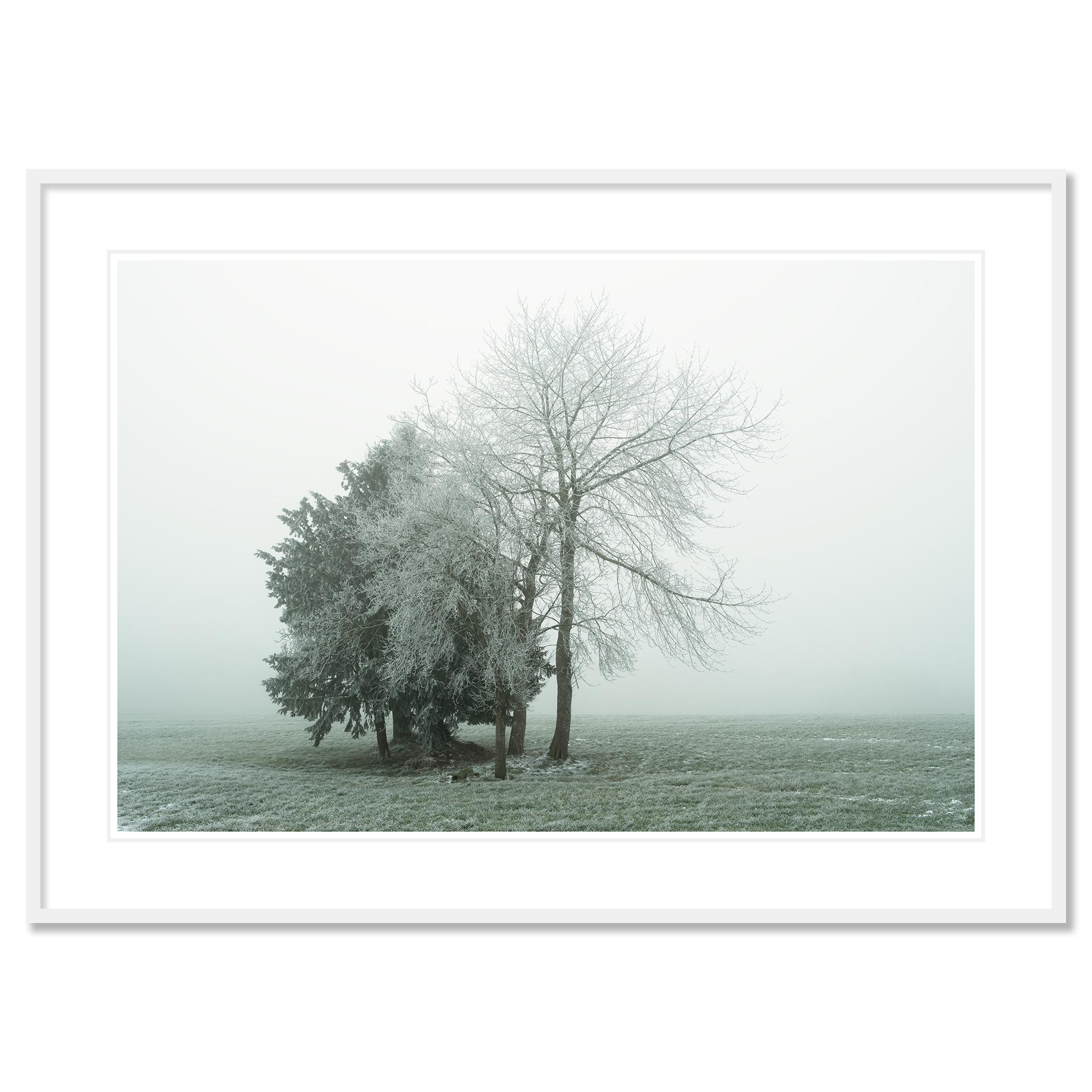 Gerald Berghammer - Photographie de paysage minimaliste en couleur. Arbres couverts de givre dans un paysage hivernal brumeux avec de l'herbe verte.
Tirage à l'encre pigmentaire, édition limitée à 7 exemplaires. Les tirages sont réalisés sur