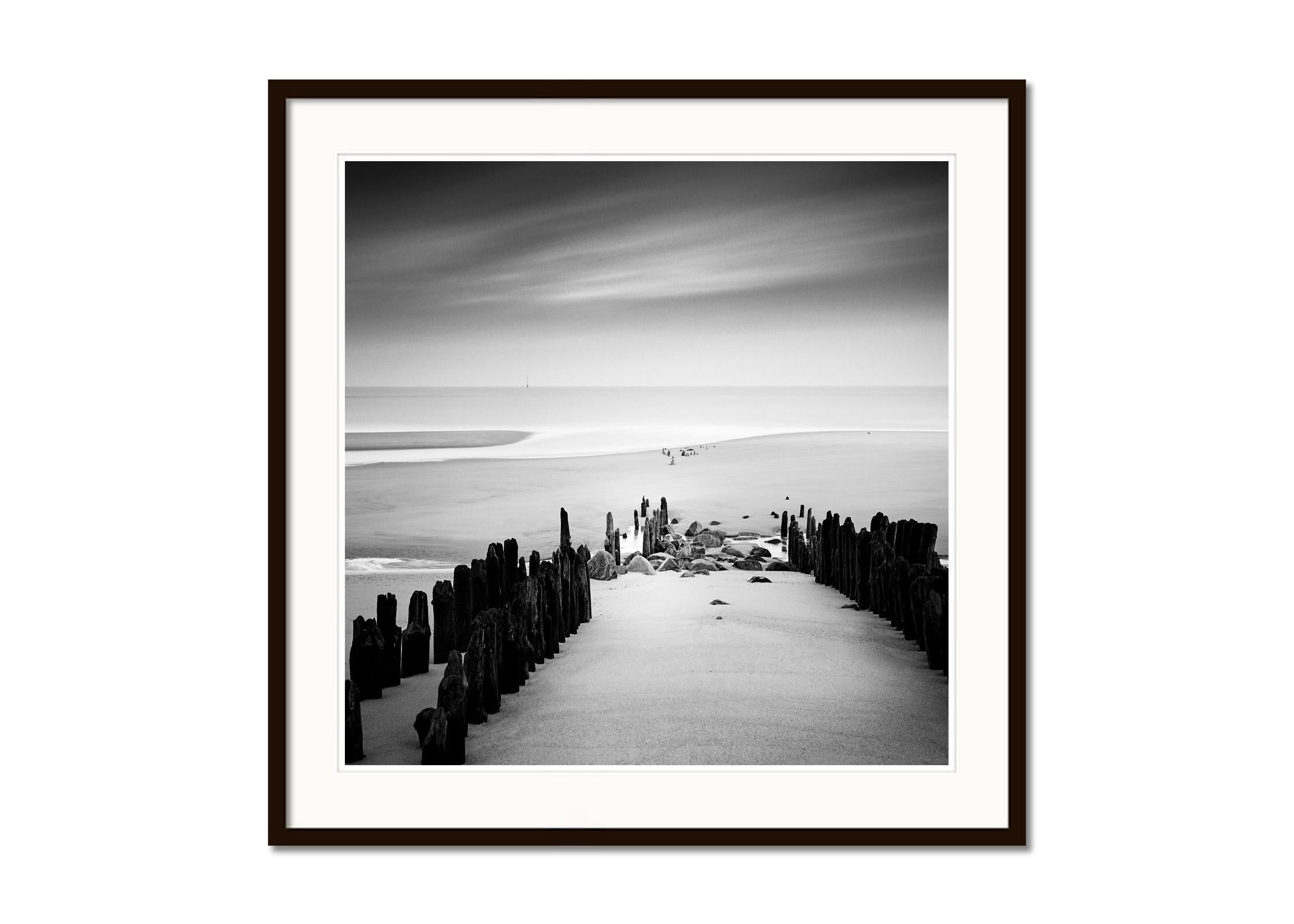 Groyne, Wavebreaker, Beach, Sylt, Germany, black & white waterscape photo print - Gray Landscape Photograph by Gerald Berghammer