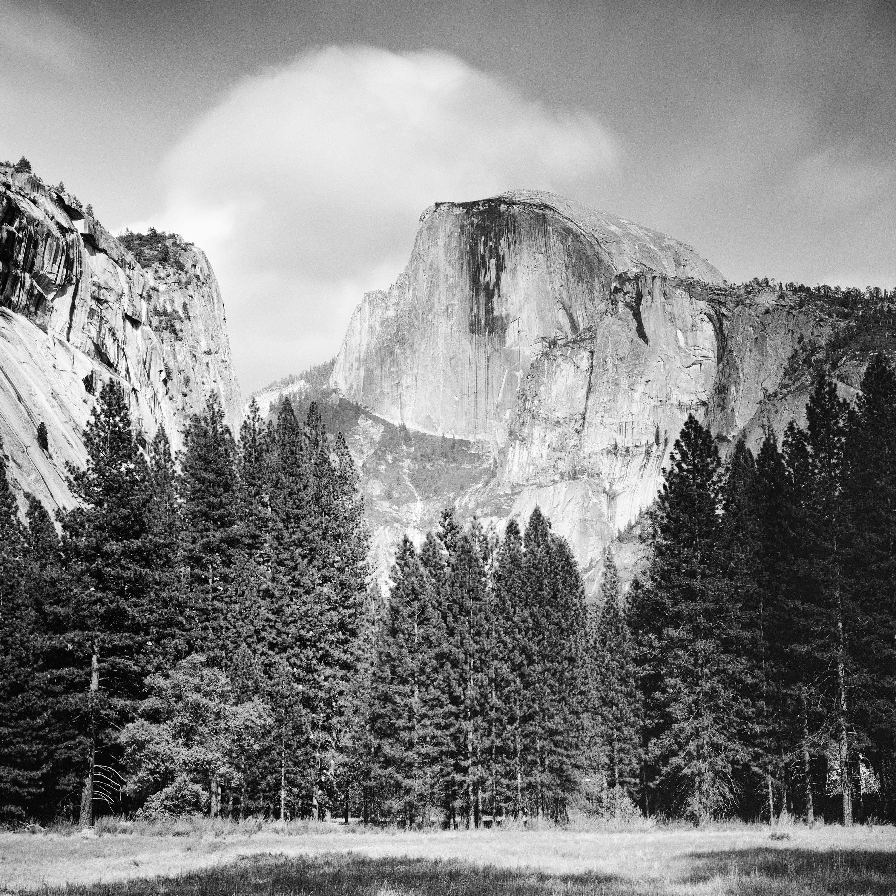 Black and White Fine Art landscape photography. Half dome with big cloud, with forest and shadow from a tree, National Park, California, USA. Archival pigment ink print, edition of 7. Signed, titled, dated and numbered by artist. Certificate of