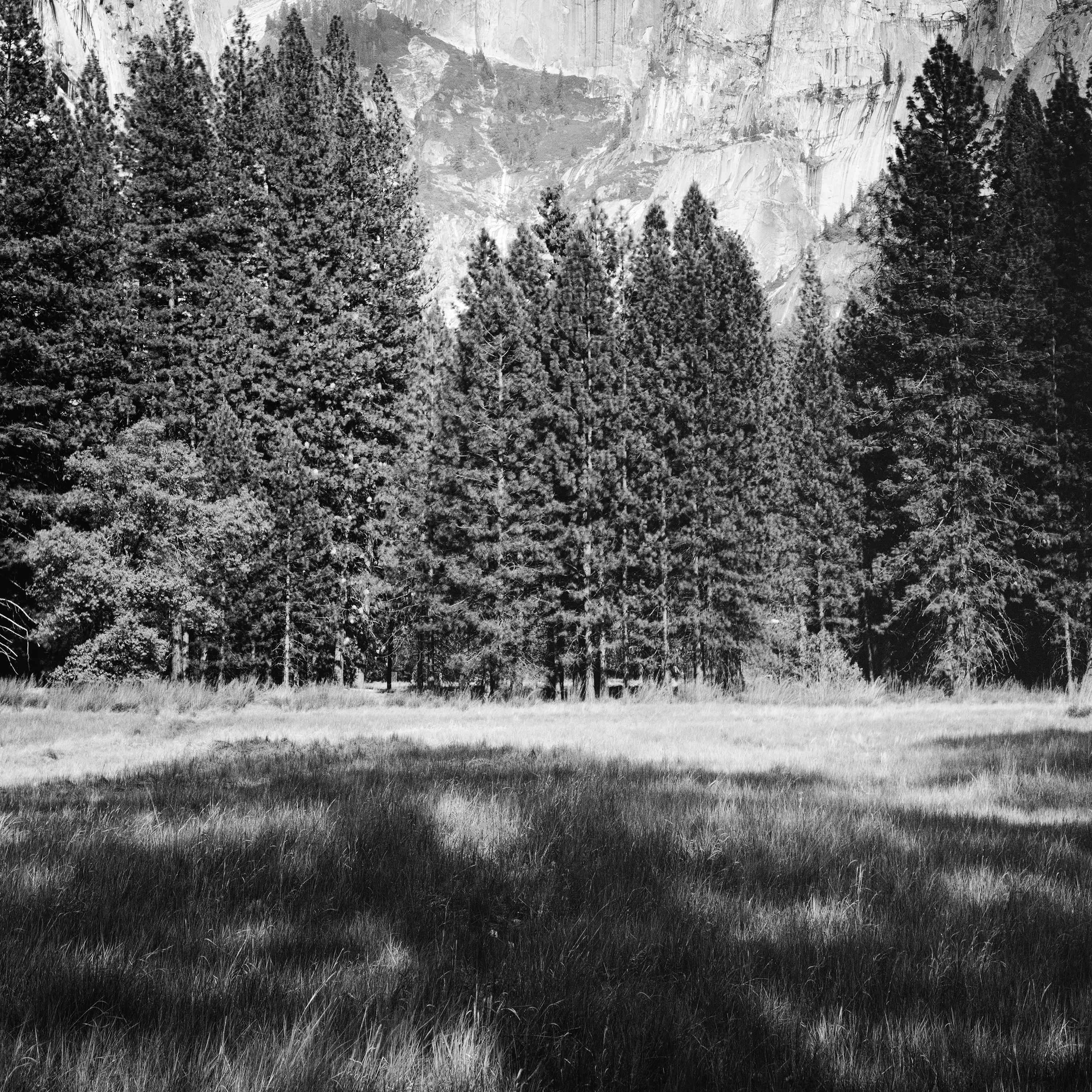 Half Dome, Yosemite National Park, USA, black and white photography, landscape For Sale 2