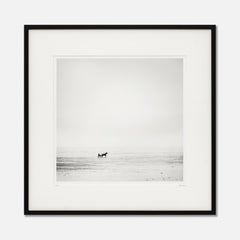 Harness Racing, France, Horse, Beach, black and white art landscape, wood frame