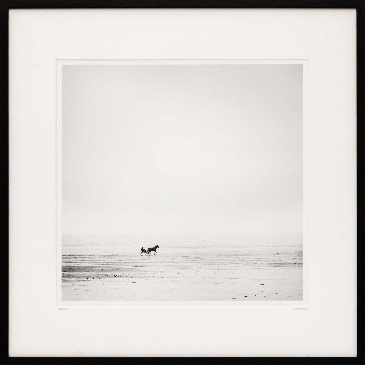 Harness Racing, France, Horse, Beach, black and white art landscape, wood frame