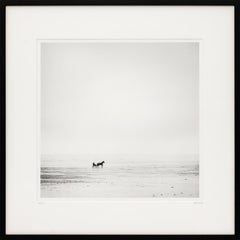 Harness Racing, France, Horse, Beach, black and white art landscape, wood frame