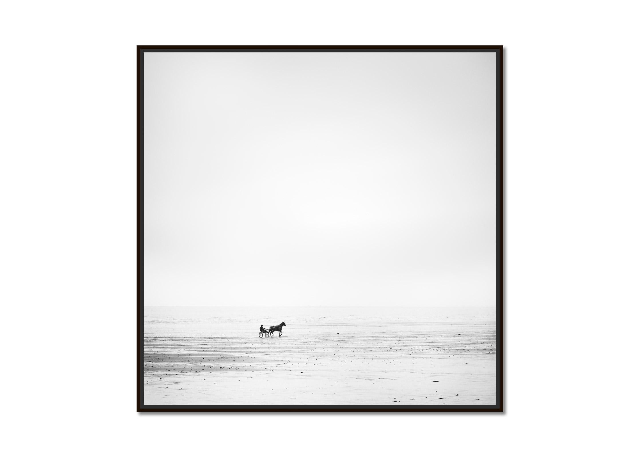 Harness Racing, lonely beach, horse, black and white photography, landscape, art - Photograph by Gerald Berghammer