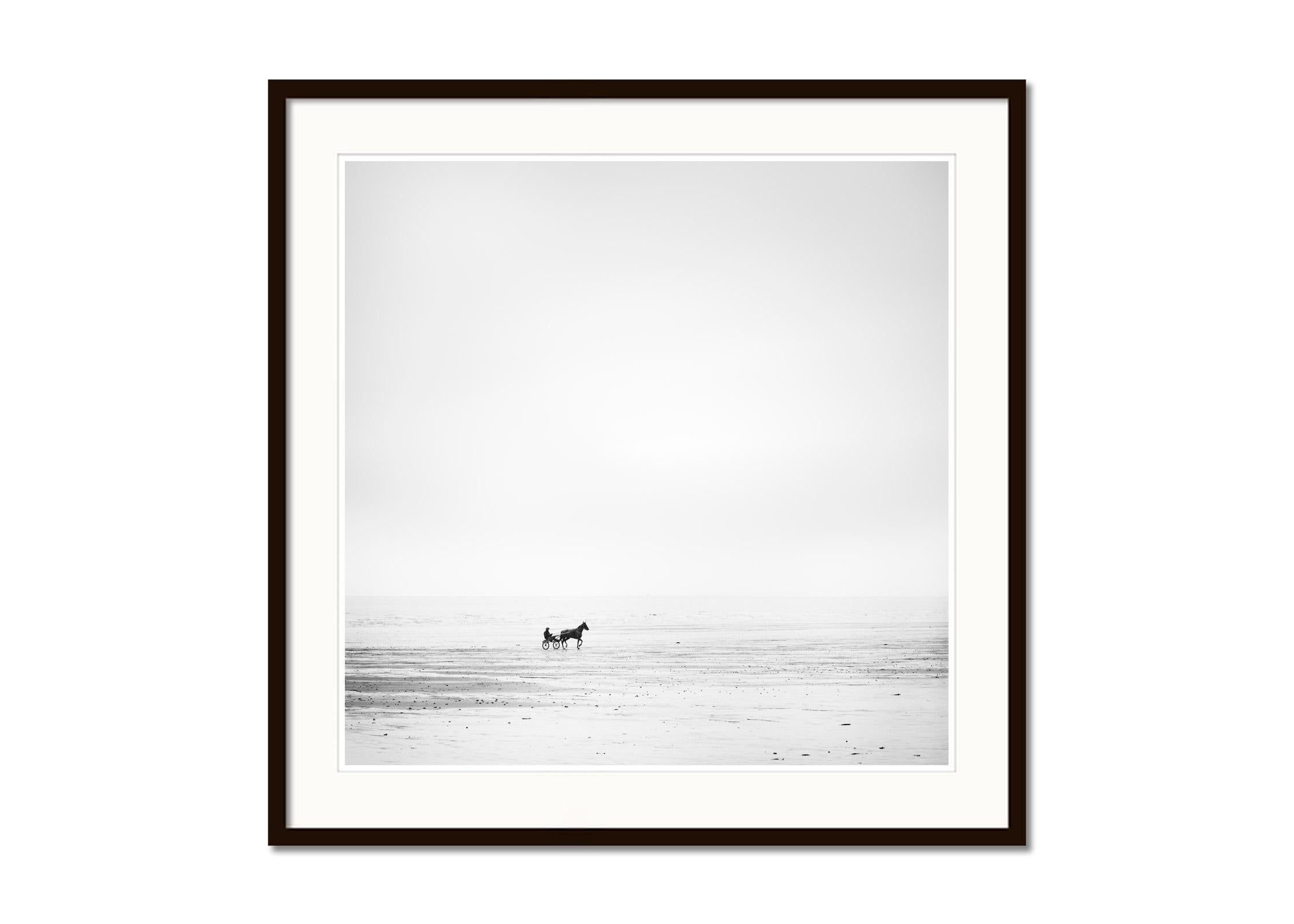 Harness Racing, lonely beach, horse, black and white photography, landscape, art - Gray Landscape Photograph by Gerald Berghammer