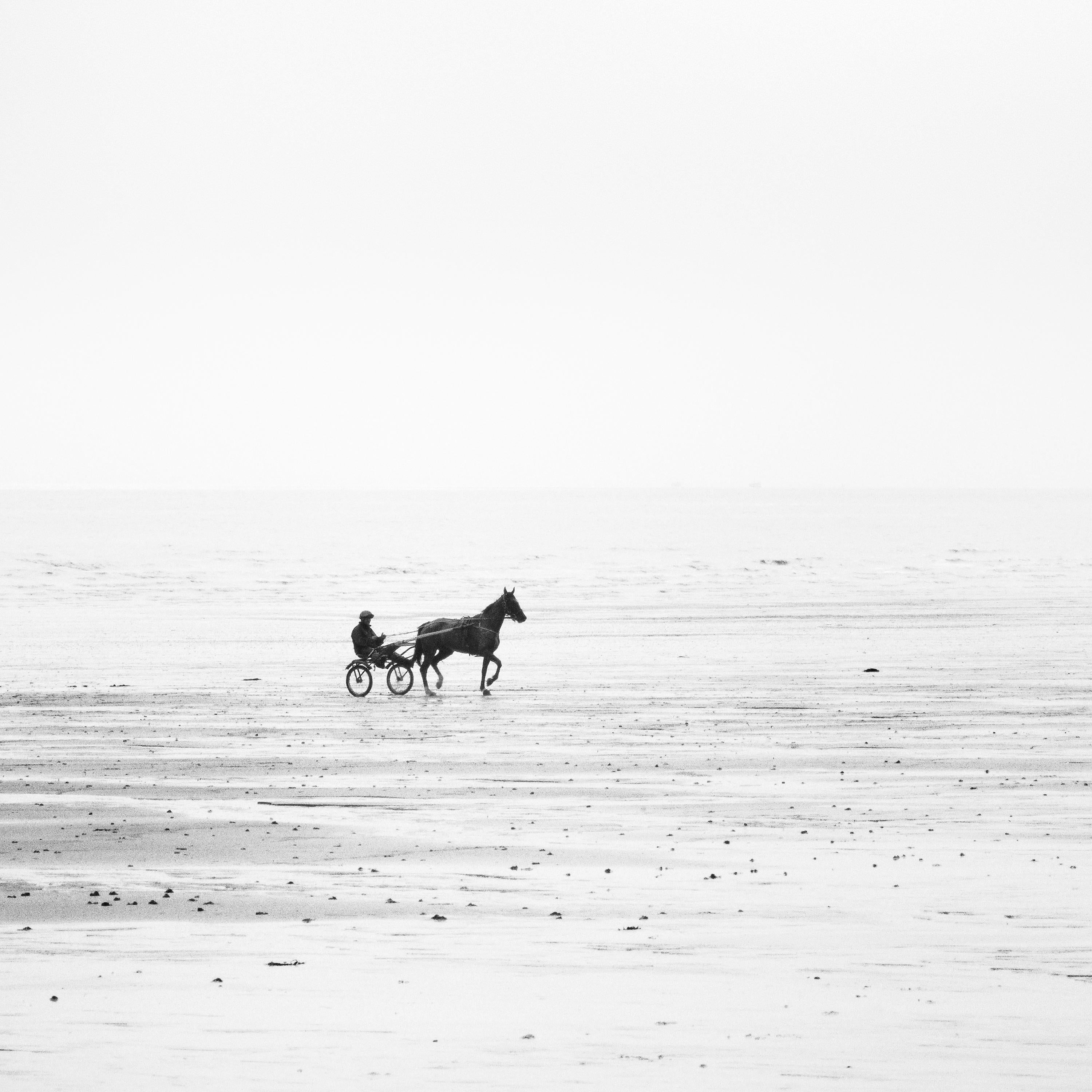 Harness Racing lonely beach horse minimalist black white landscape photography For Sale 3