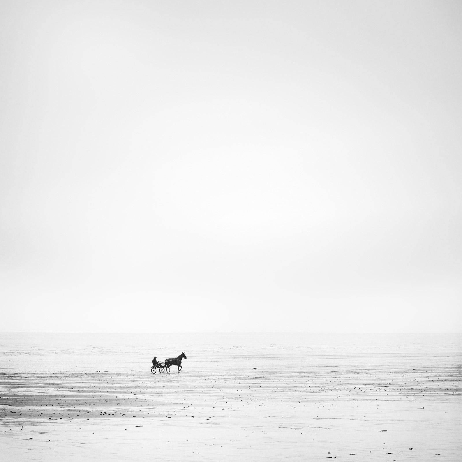 Gerald Berghammer Landscape Photograph - Harness Racing lonely beach horse minimalist black white landscape photography