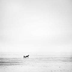 Course Hippique, plage isolée, cheval, photographie noir et blanc, paysage, art