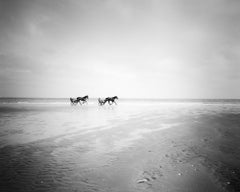 Harness Racing, horse riding, beach, black and white art landscape photography