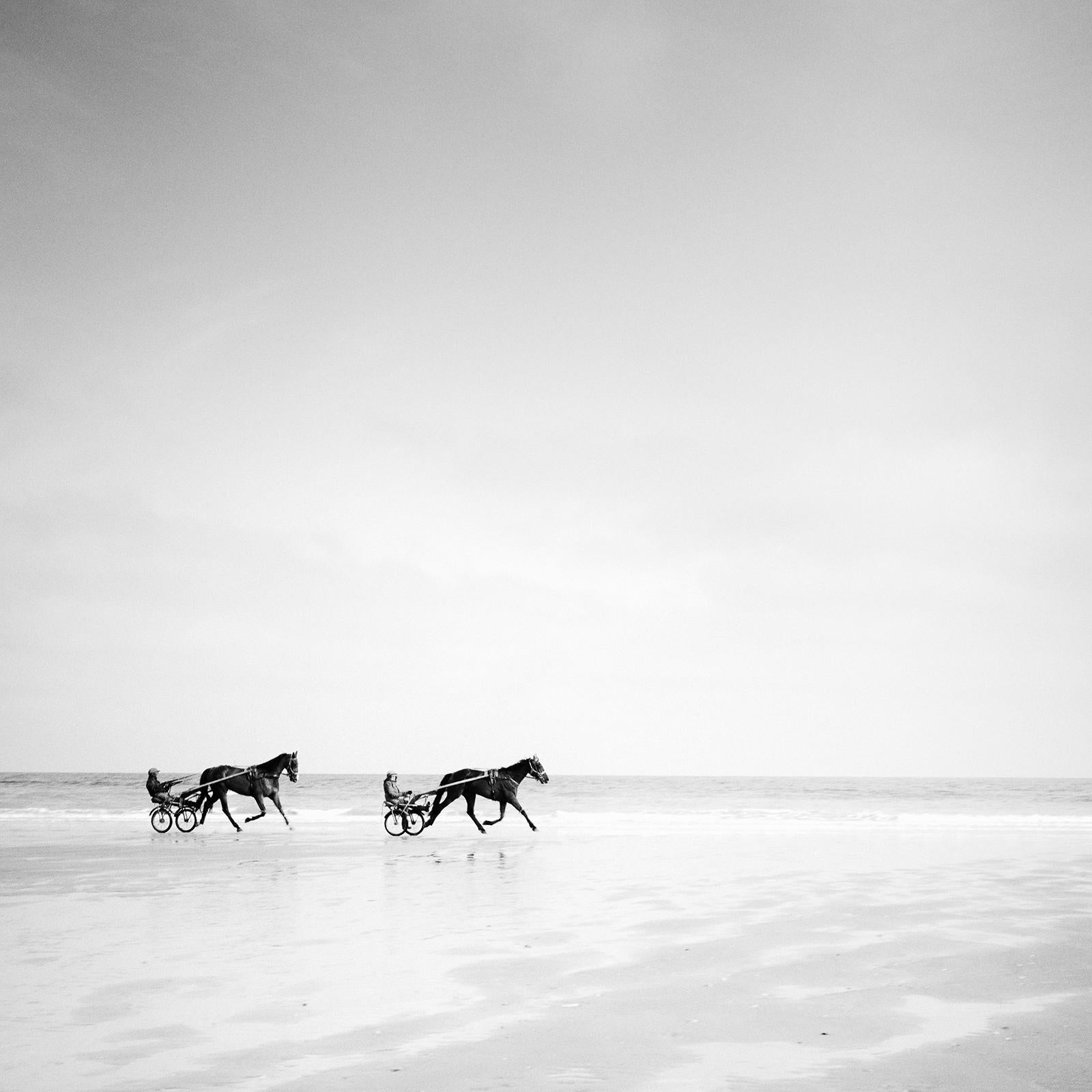 Harness Racing, horse riding, beach, black and white photography, landscape For Sale 5