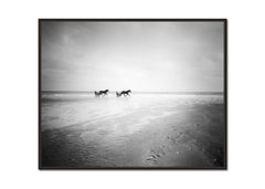 Harness Racing, Pferderennen, Strand, monochrome Fotografie, Landschaft, limitiert