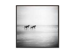 Harness Racing, Horses on the Beach, monochrome photograph, landscape, limited