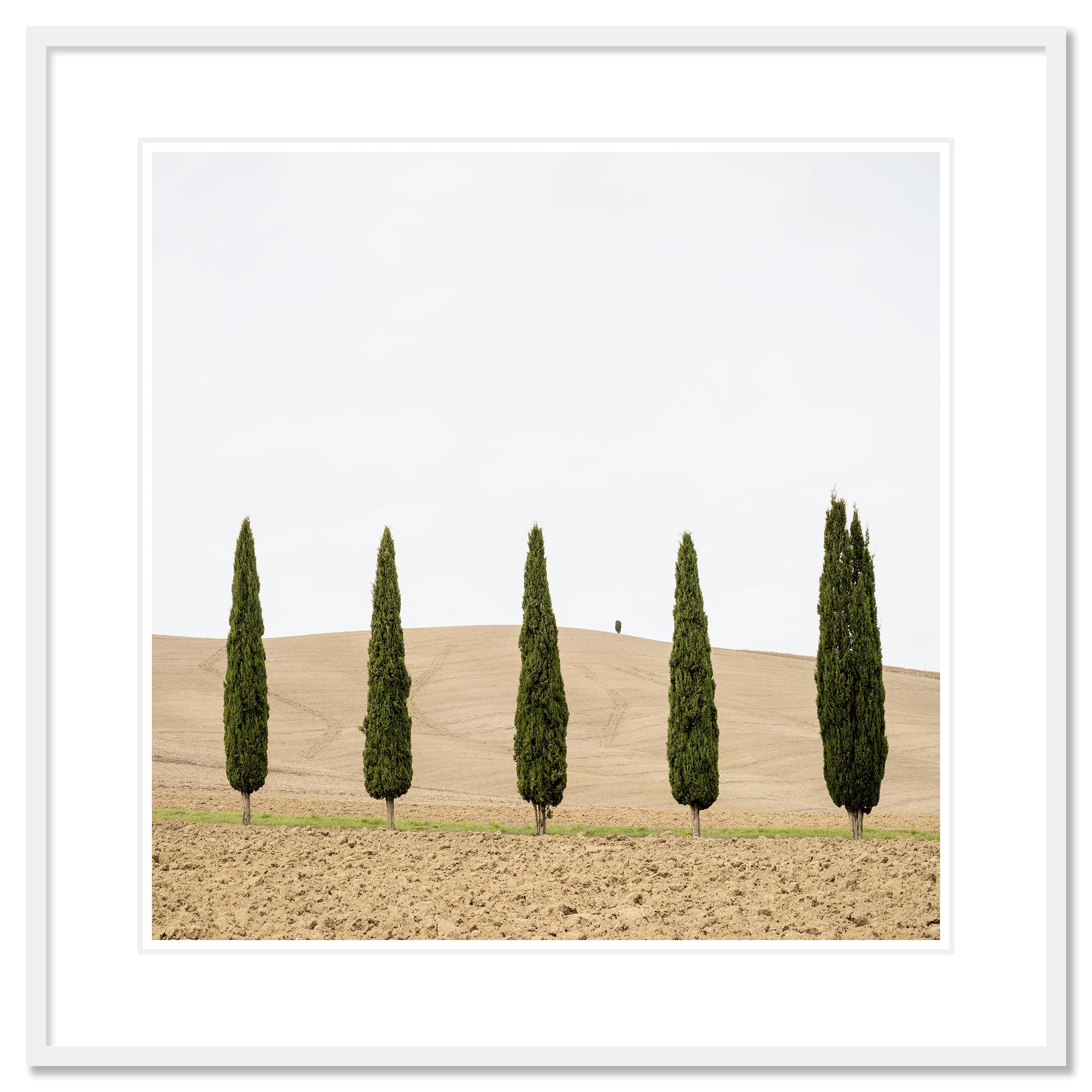 Champ de moisson avec cyprès, Toscane, Italie - n° 21323
Photographie d'art en couleur de paysages minimalistes de longue durée. Tirage à l'encre pigmentaire d'archives faisant partie d'une édition limitée à 7 exemplaires. 
Tous les tirages de