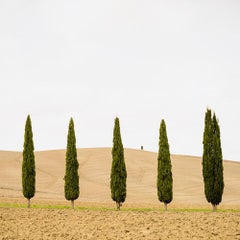 Campo de cosecha con cipreses, fotografía en color, impresión paisajística de edición limitada
