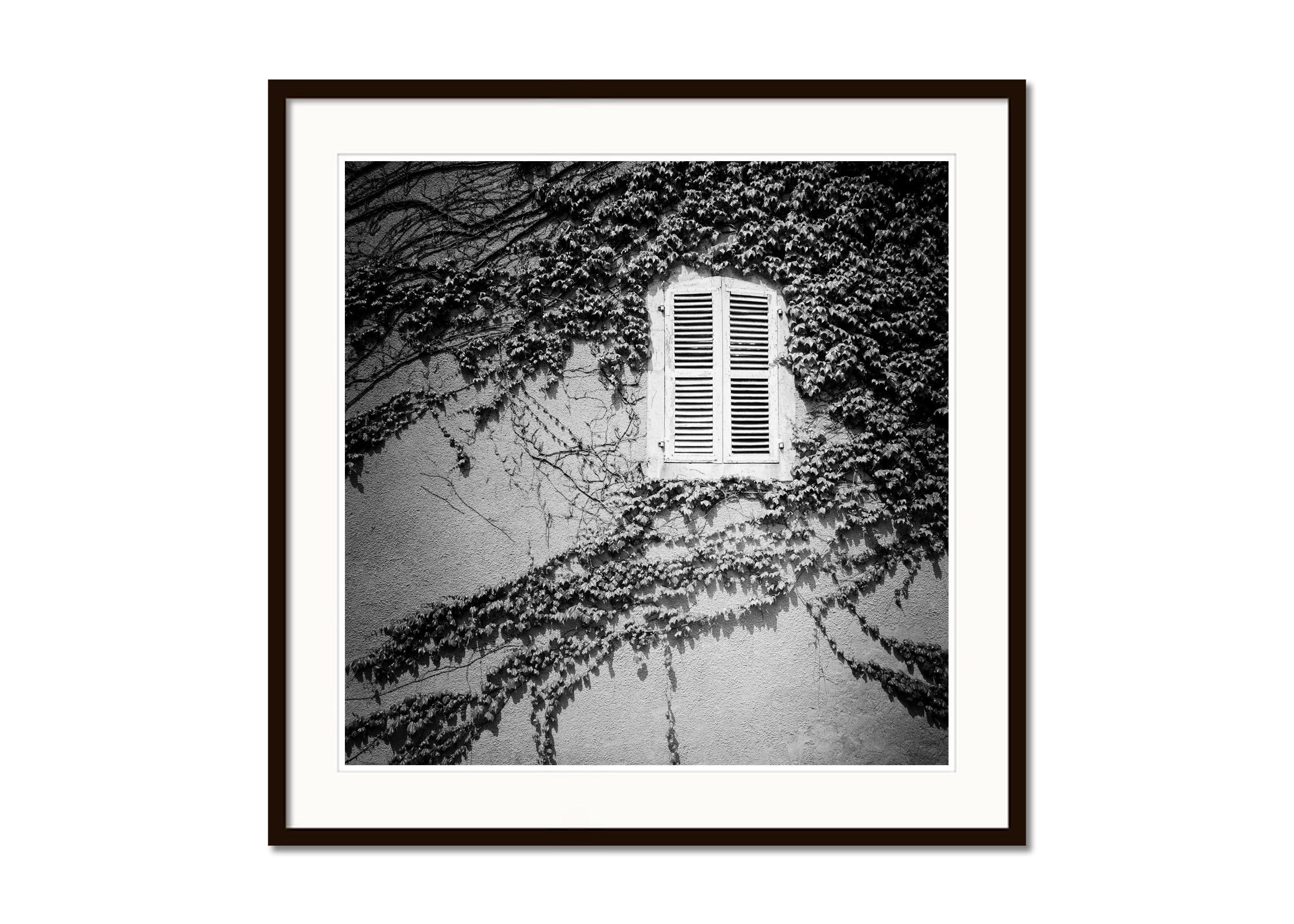 Hedera Helix, France, minimalist, black and white fine art landscape photography - Contemporary Photograph by Gerald Berghammer