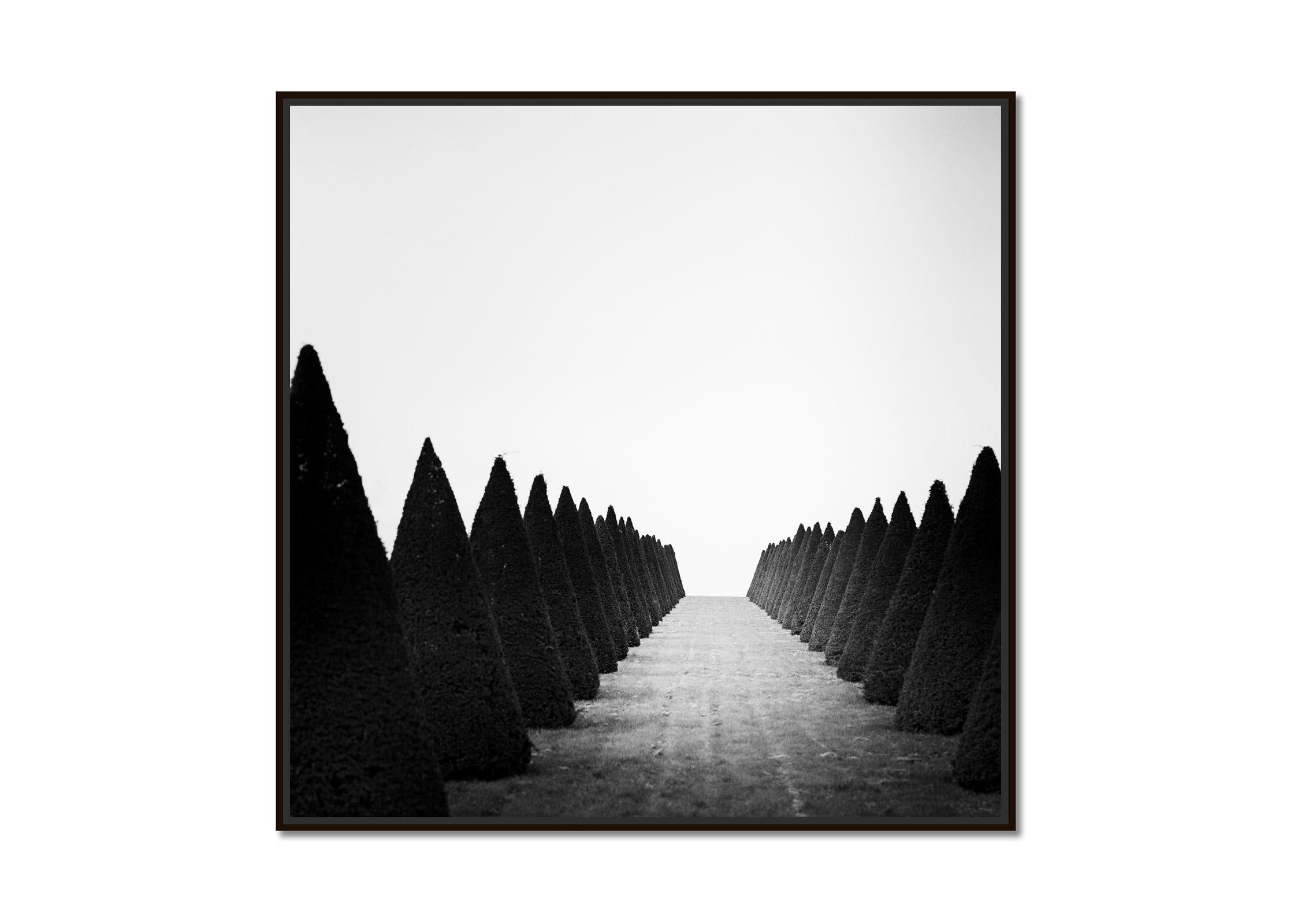 Hedges, Palace of Versailles, Paris, black and white photography, landscape - Photograph by Gerald Berghammer