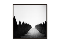 Hedges, Palace of Versailles, Paris, black and white photography, landscape, art