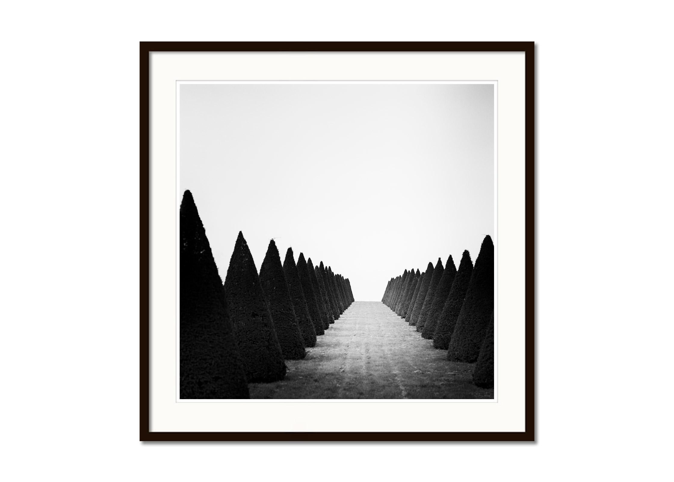 Hedges, Palace of Versailles, Paris, black and white photography, landscape - Gray Landscape Photograph by Gerald Berghammer