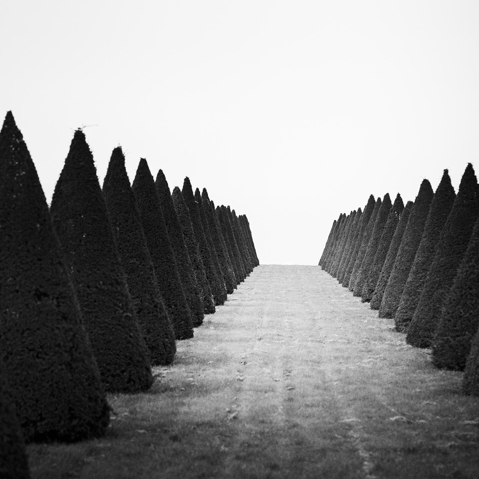 Hedges, Palace of Versailles, Paris, black and white photography, landscape For Sale 2