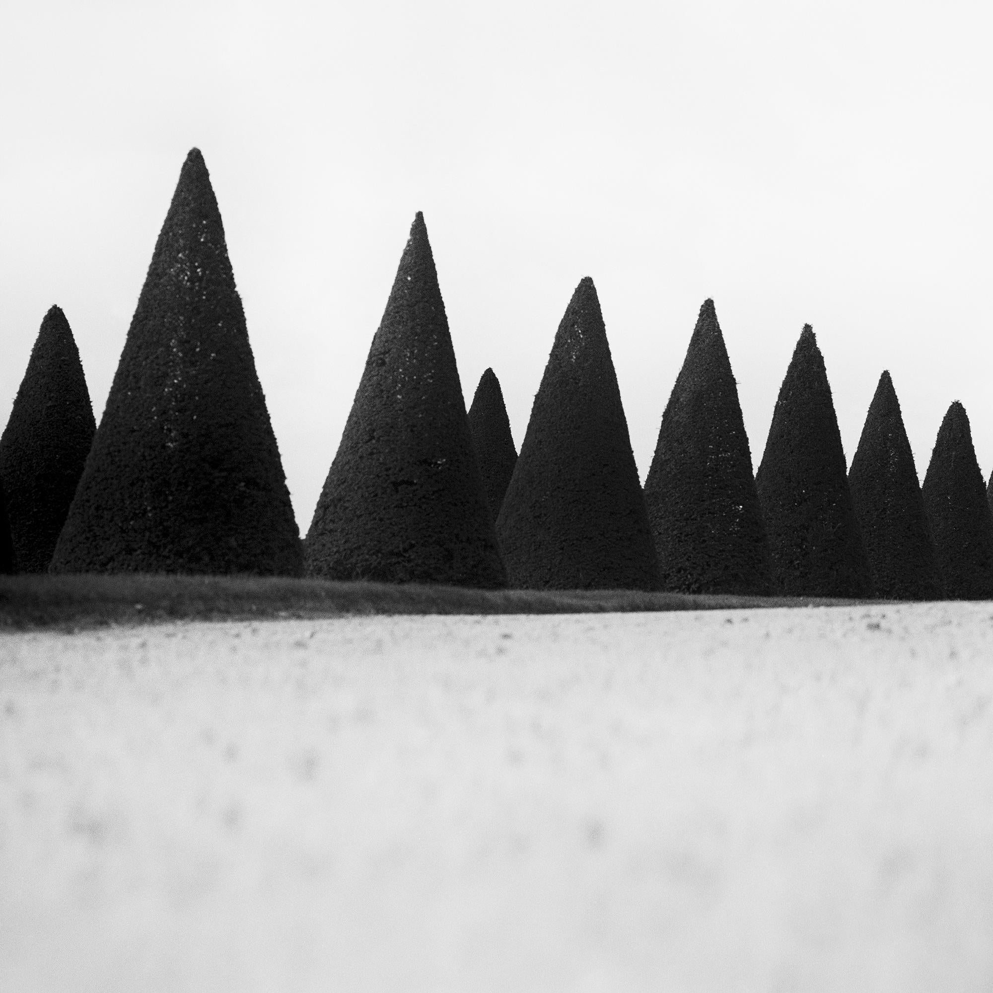Hedges, Paris, Versailles, Frankreich, Schwarz-Weiß-Fotografie, Landschaft, Kunst im Angebot 5