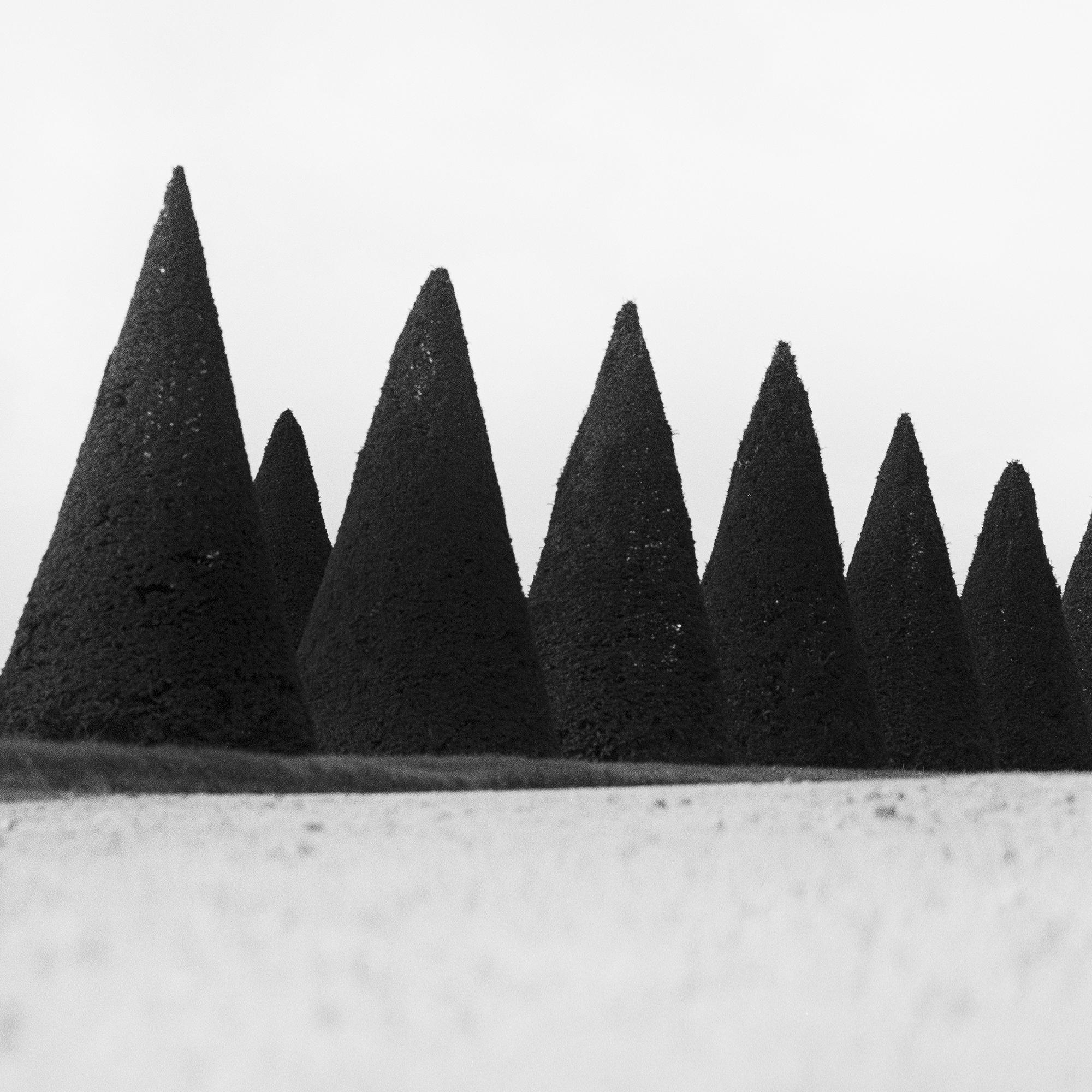 Hedges, Paris, Versailles, Frankreich, Schwarz-Weiß-Fotografie, Landschaft, Kunst im Angebot 7