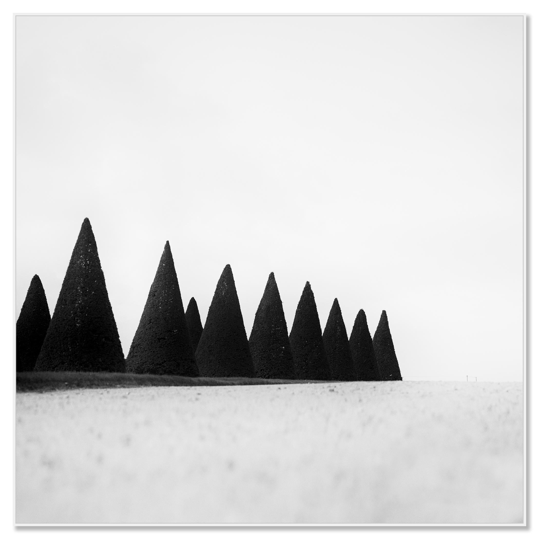 Hedges, Paris, Versailles, Frankreich, Schwarz-Weiß-Fotografie, Landschaft, Kunst (Zeitgenössisch), Photograph, von Gerald Berghammer