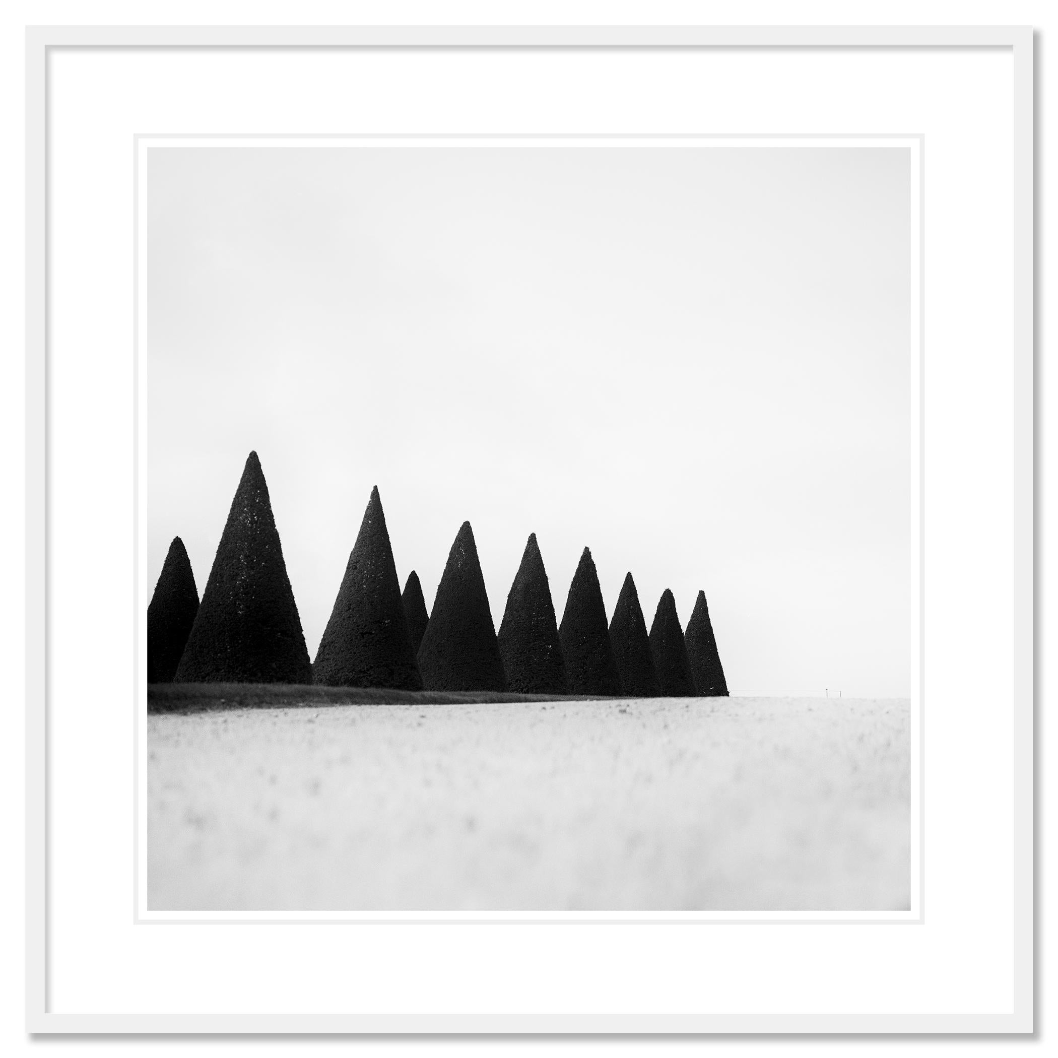 Hedges, Paris, Versailles, Frankreich, Schwarz-Weiß-Fotografie, Landschaft, Kunst im Angebot 1