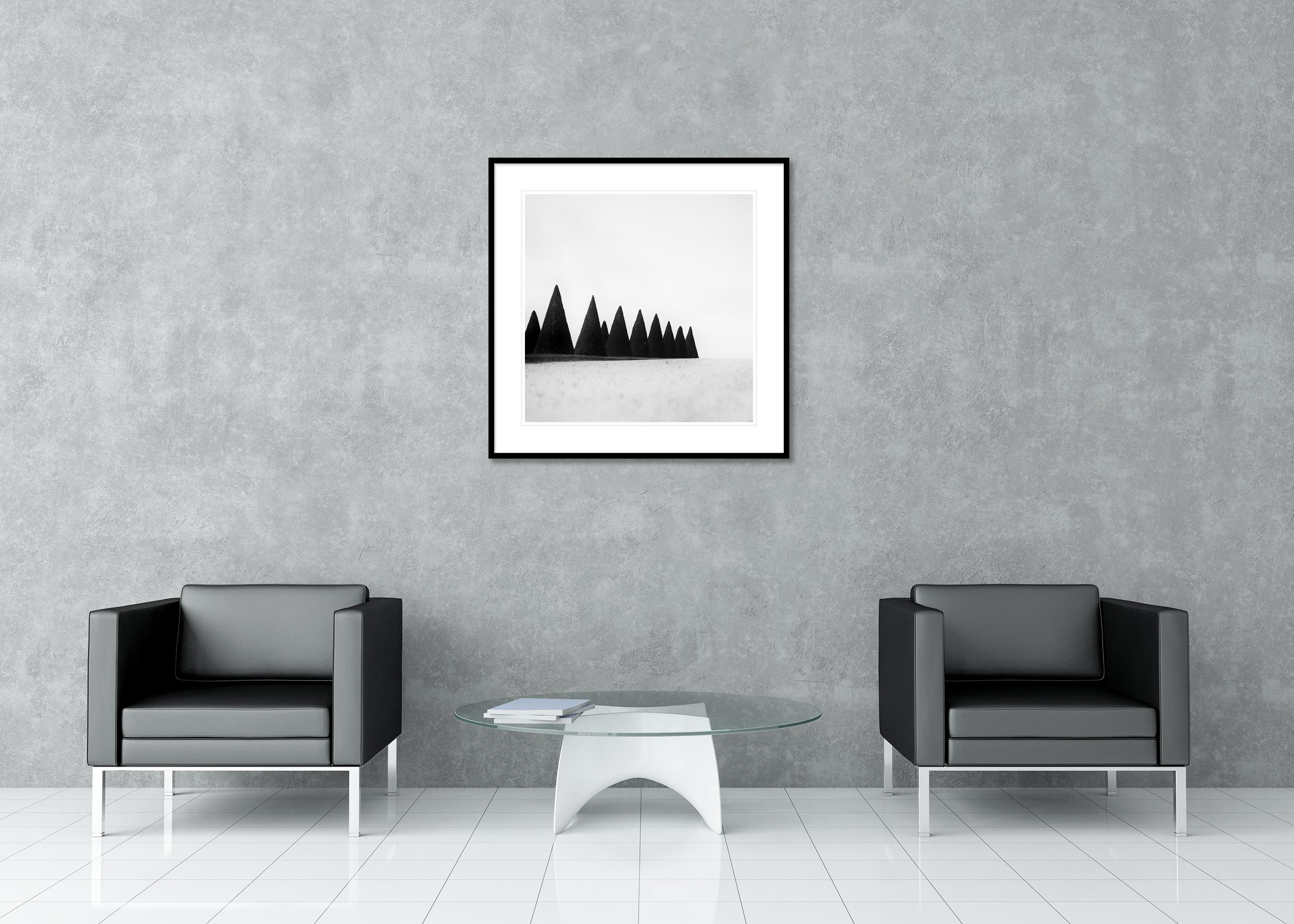 Hedges, Paris, Versailles, Frankreich, Schwarz-Weiß-Fotografie, Landschaft, Kunst im Angebot 2