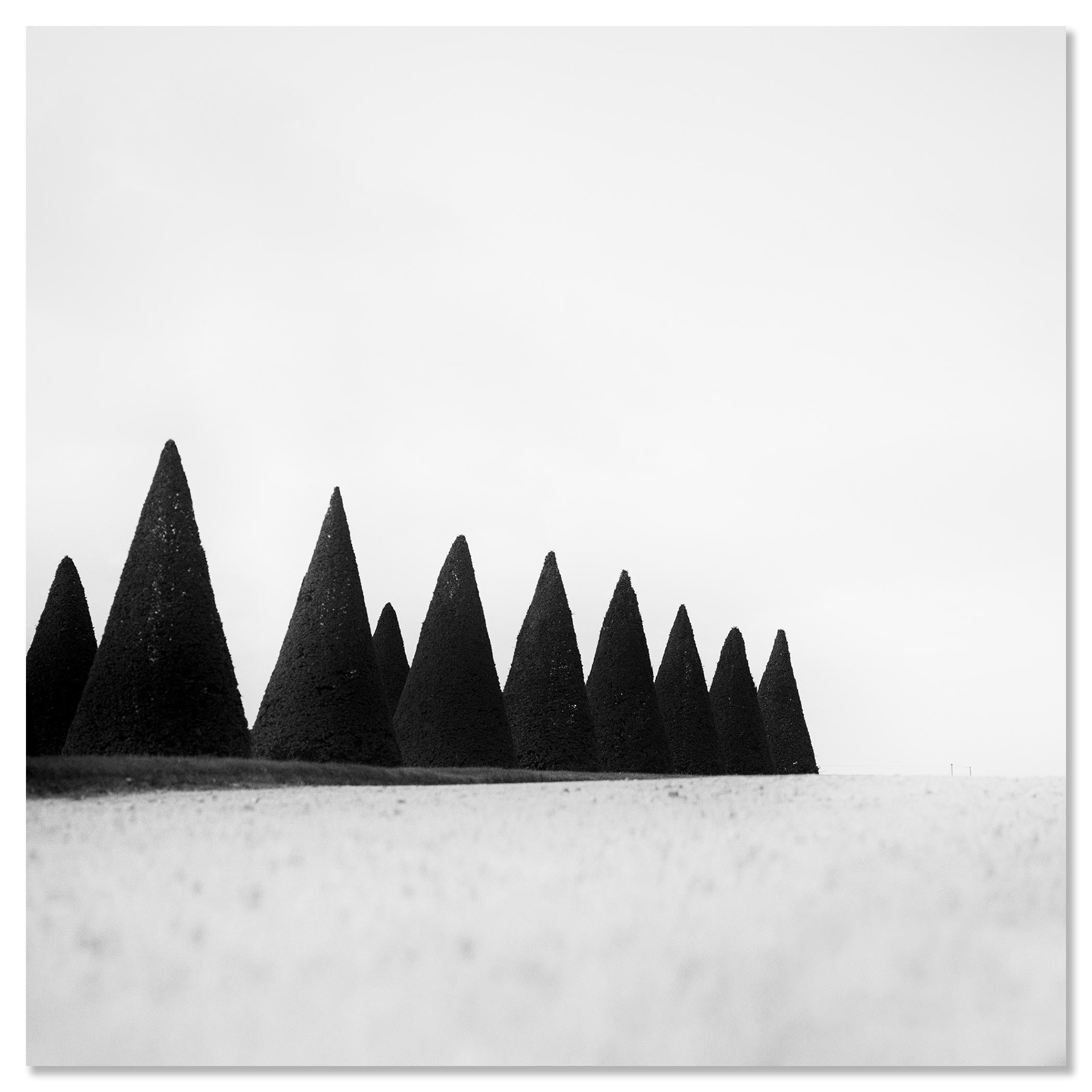 Hedges, Paris, Versailles, Frankreich, Schwarz-Weiß-Fotografie, Landschaft, Kunst im Angebot 3