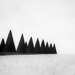 Haies, Paris, Versailles, France, photographie noir et blanc, paysage, art