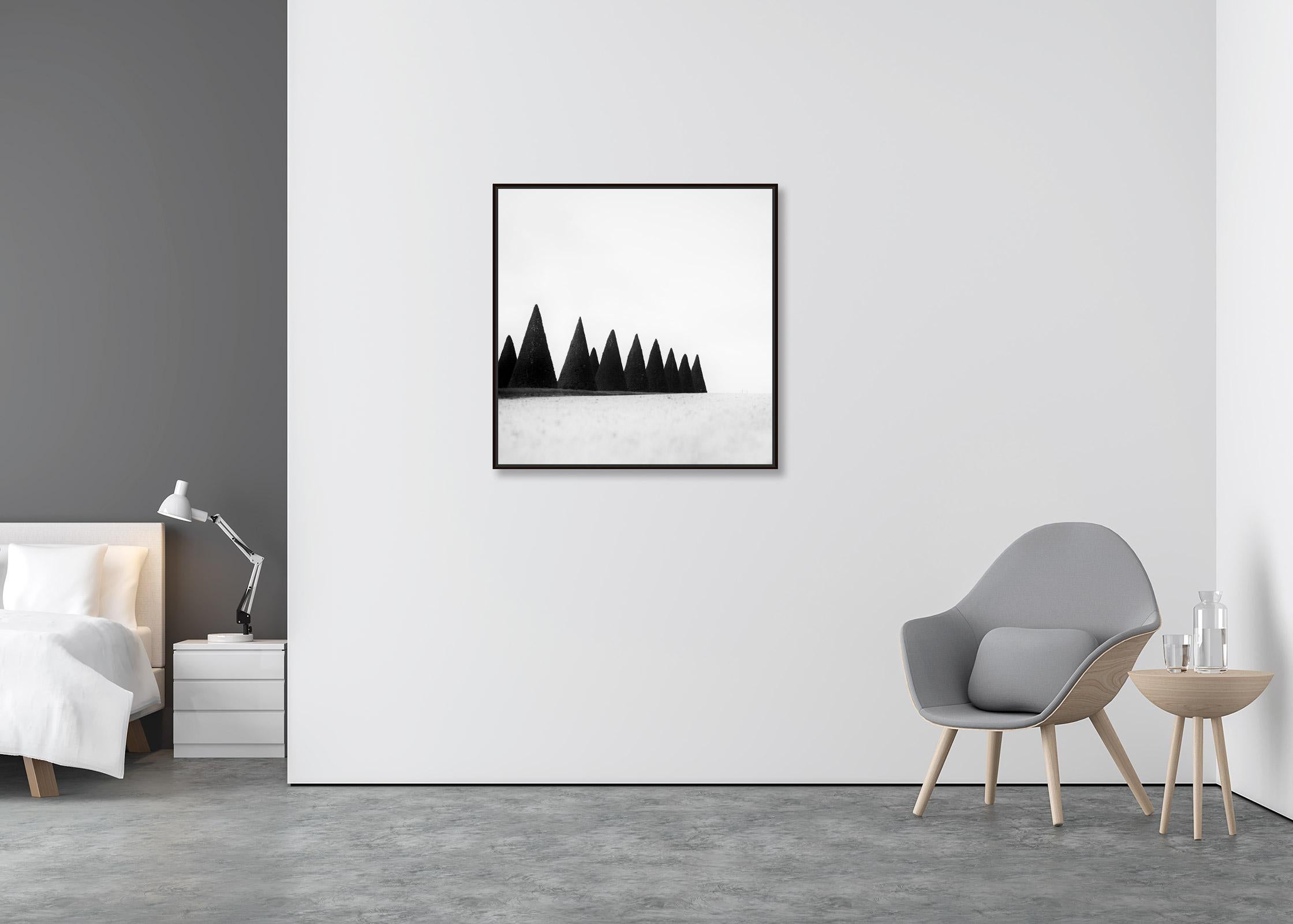 Haies, Paris, Versailles, France, photographie noir et blanc, paysage, art - Contemporain Photograph par Gerald Berghammer