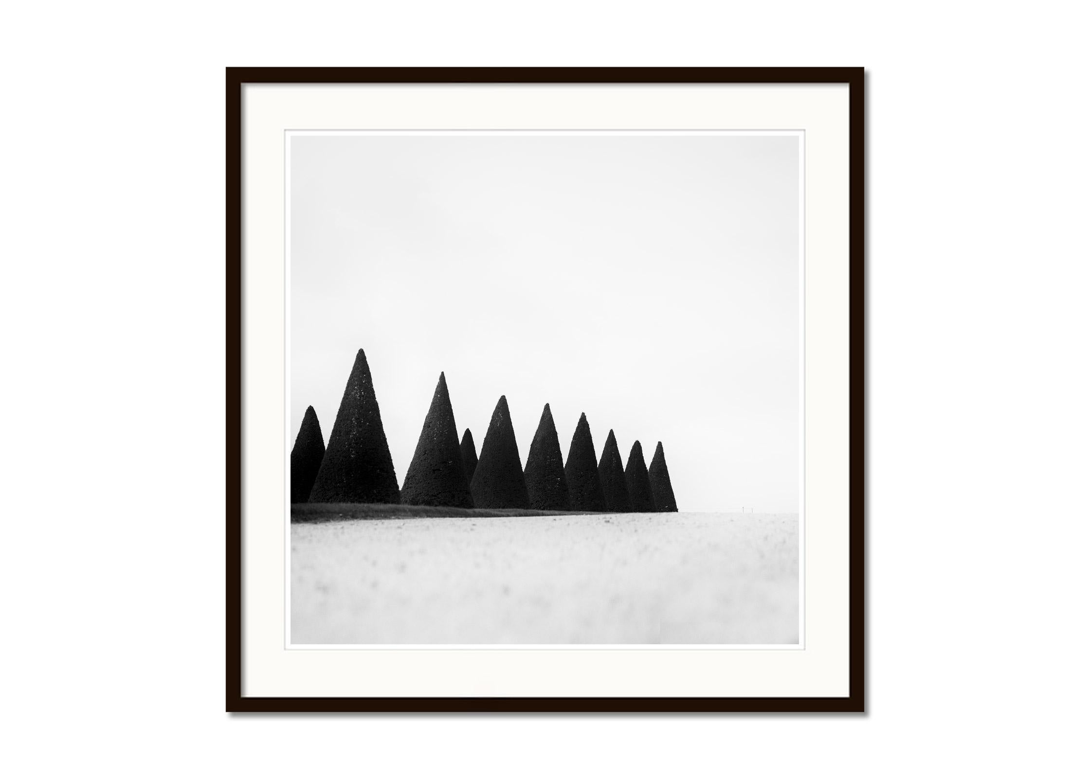 Haies, Paris, Versailles, France, photographie noir et blanc, paysage, art - Gris Landscape Photograph par Gerald Berghammer