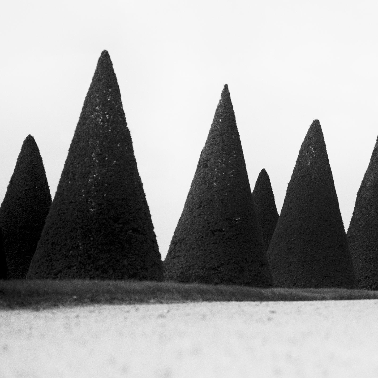 Haies, Paris, Versailles, France, photographie noir et blanc, paysage, art en vente 4