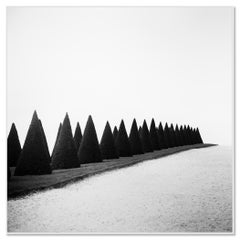 Hedges, Étude n° 1 – Photographie en noir et blanc de Versailles, édition limitée