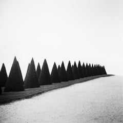 Hedges, Estudio 1 – Fotografía en blanco y negro de Versalles, edición limitada