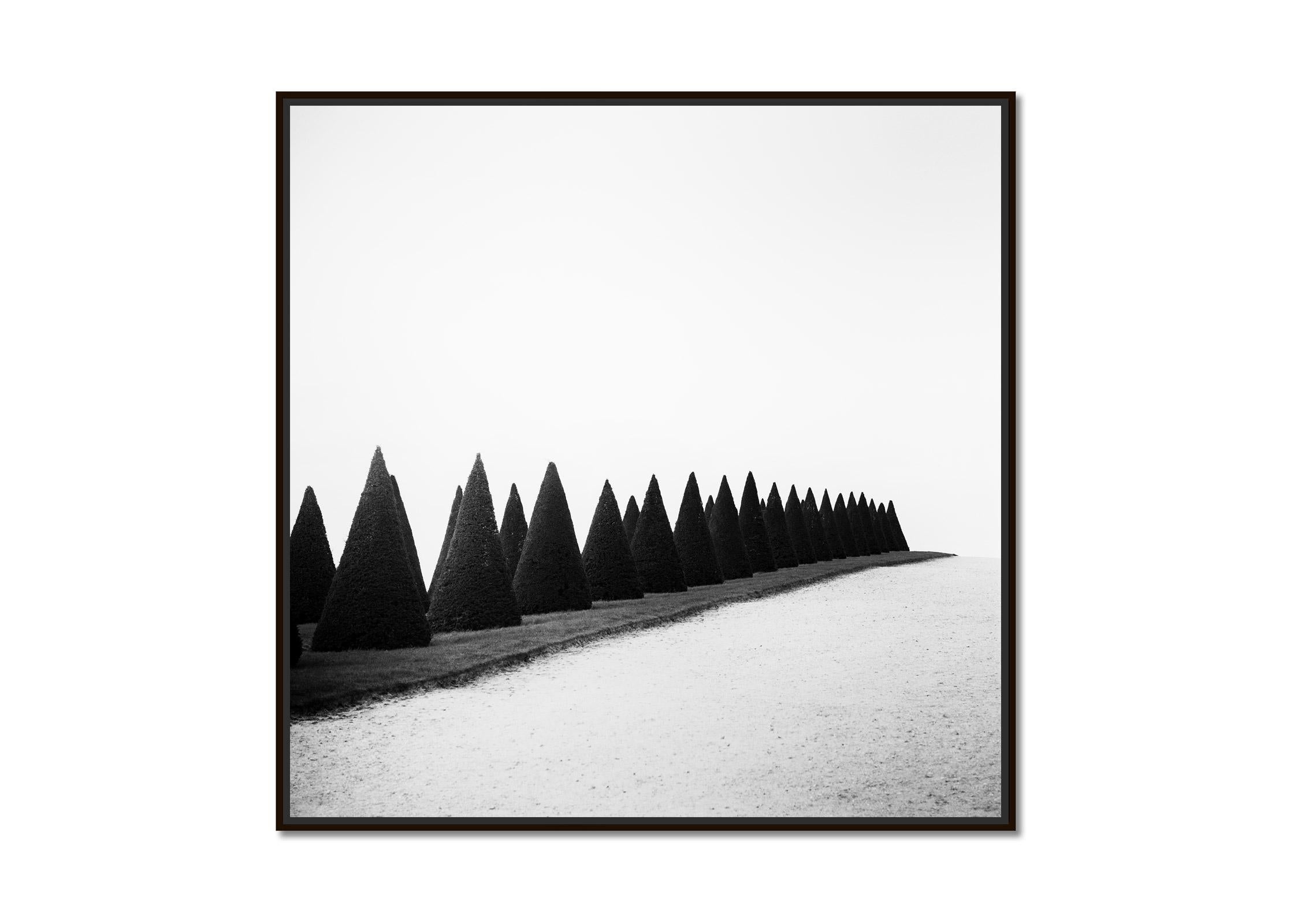 Hedges, Versailles, Paris, France, black and white fineart landscape photography - Photograph by Gerald Berghammer
