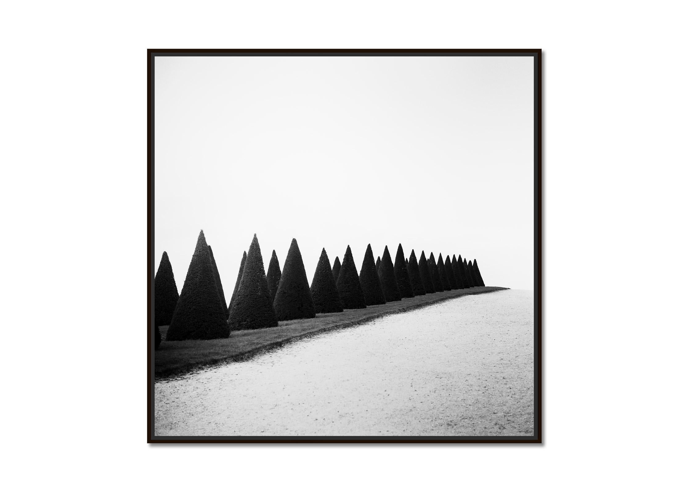 Siepi, Versailles, Parigi, Francia, foto di paesaggio minimalista, edizione limitata - Photograph di Gerald Berghammer
