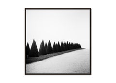 Hedges Versailles Paris minimalist landscape photo limited edition