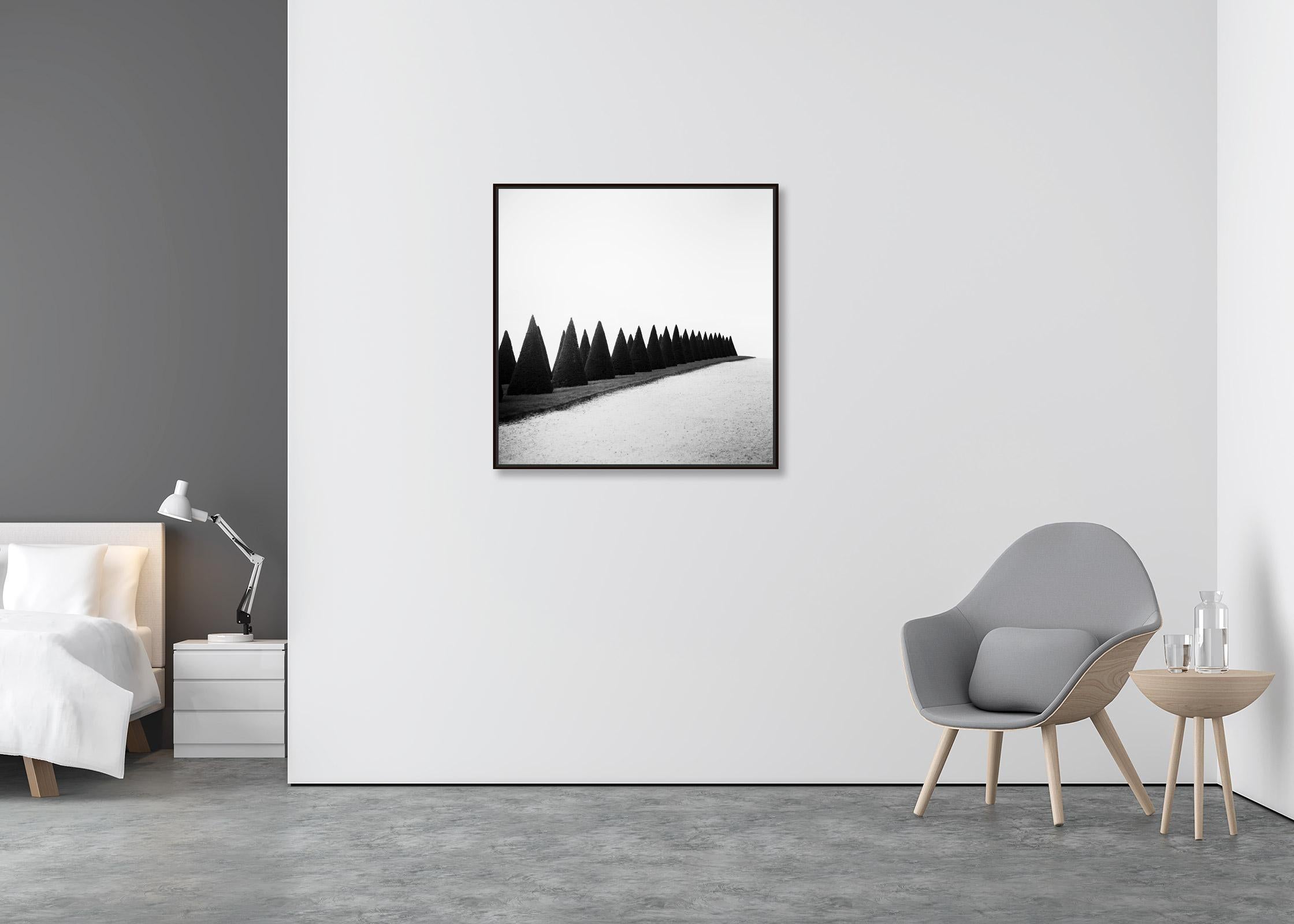 Siepi, Versailles, Parigi, Francia, foto di paesaggio minimalista, edizione limitata - Photograph Astratto di Gerald Berghammer