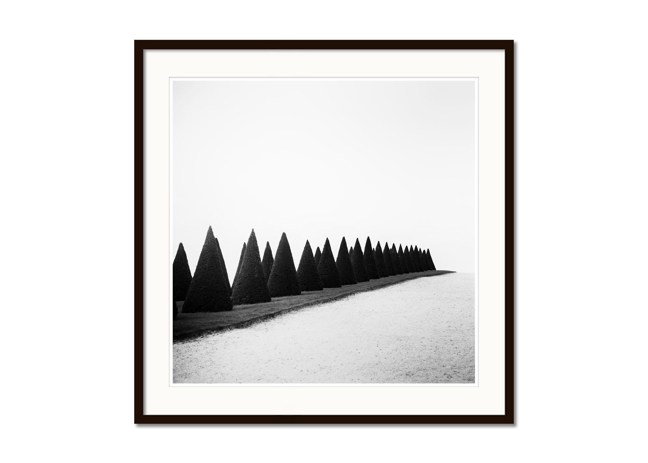 Hedges, Versailles, Paris, France, black and white fineart landscape photography - Gray Black and White Photograph by Gerald Berghammer
