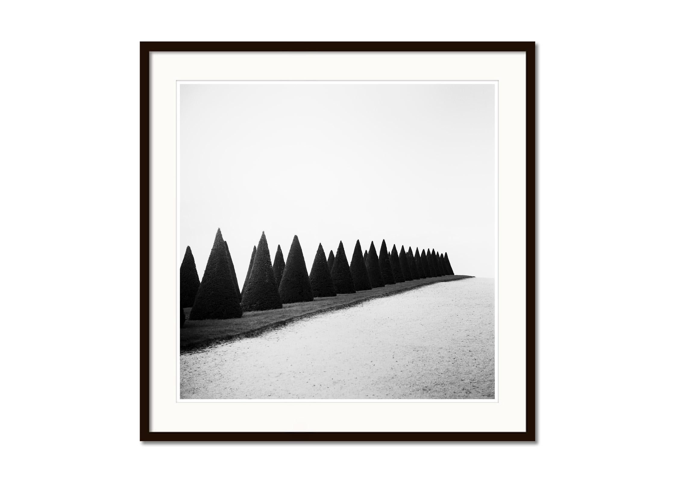 Siepi, Versailles, Parigi, Francia, foto di paesaggio minimalista, edizione limitata - Black and White Photograph Grigio di Gerald Berghammer