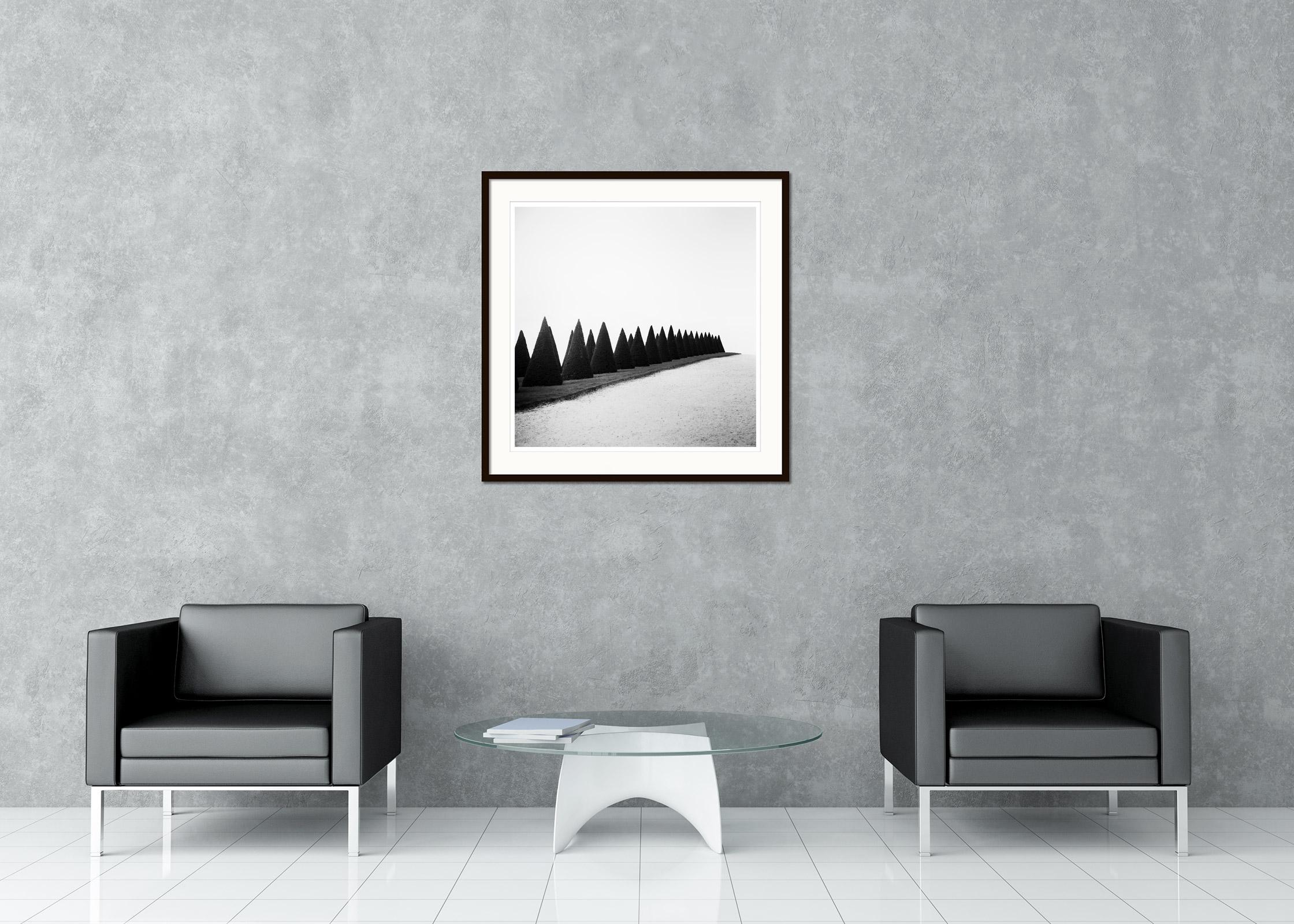 Fotografia di paesaggio in bianco e nero Fine Art. Un filare di siepi perfettamente tagliate nel palazzo di Versailles a Parigi, in Francia. Stampa a inchiostro pigmentato d'archivio, edizione di 9 esemplari. Firmato, intitolato, datato e numerato