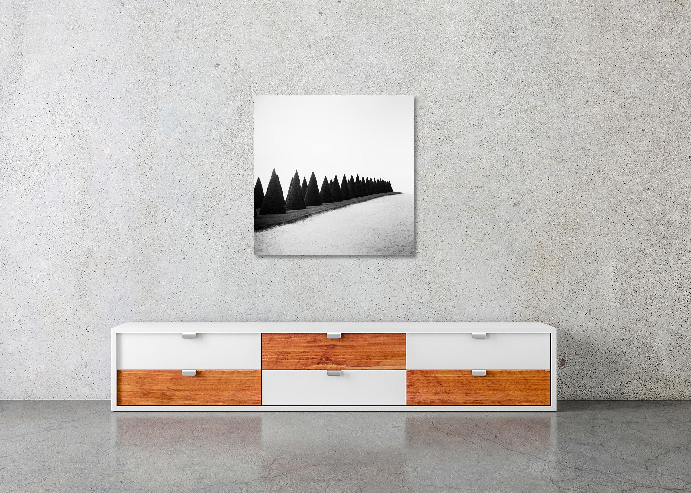 Siepi, Versailles, Parigi, Francia, foto di paesaggio minimalista, edizione limitata in vendita 1