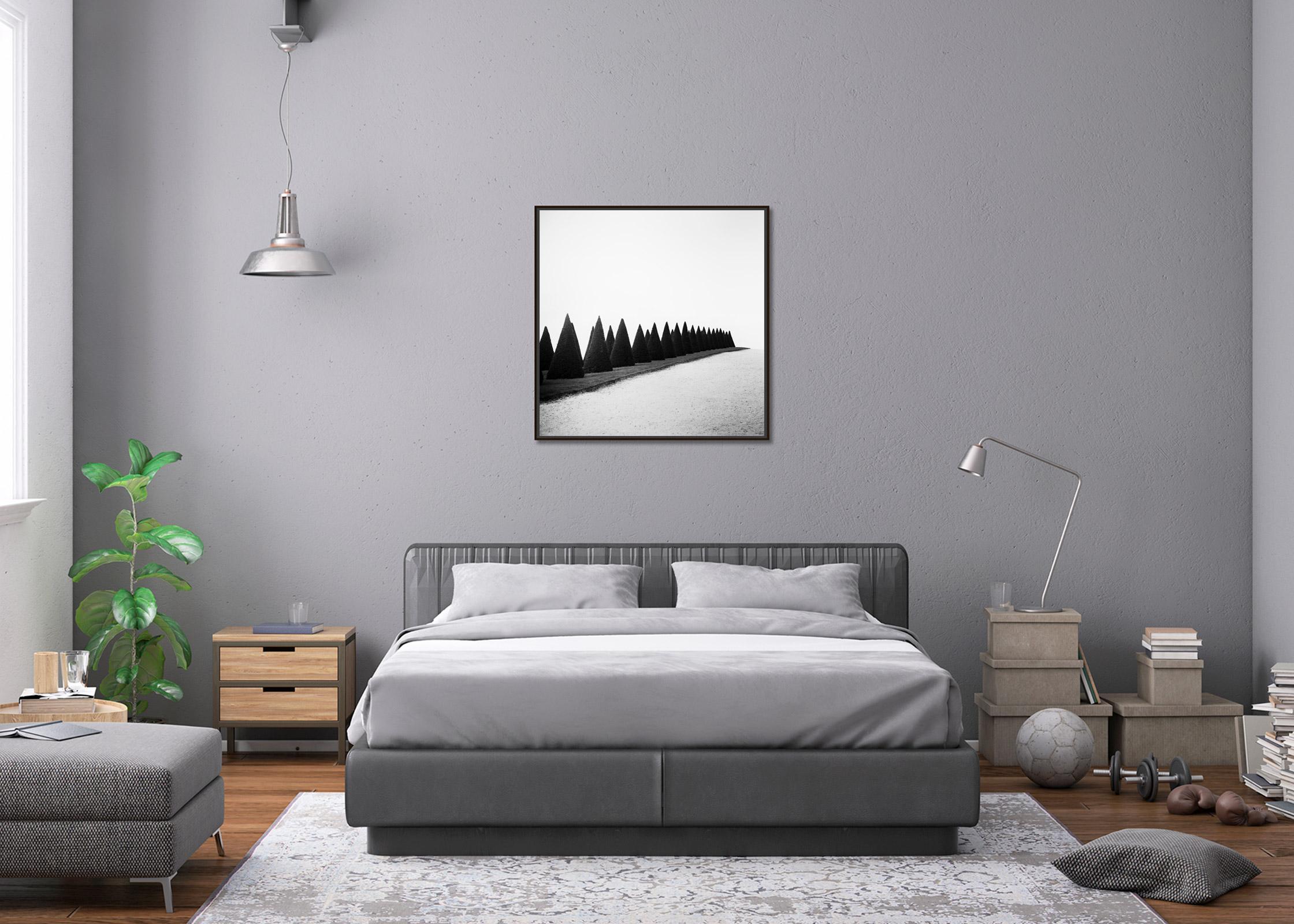 Siepi, Versailles, Parigi, Francia, foto di paesaggio minimalista, edizione limitata in vendita 2
