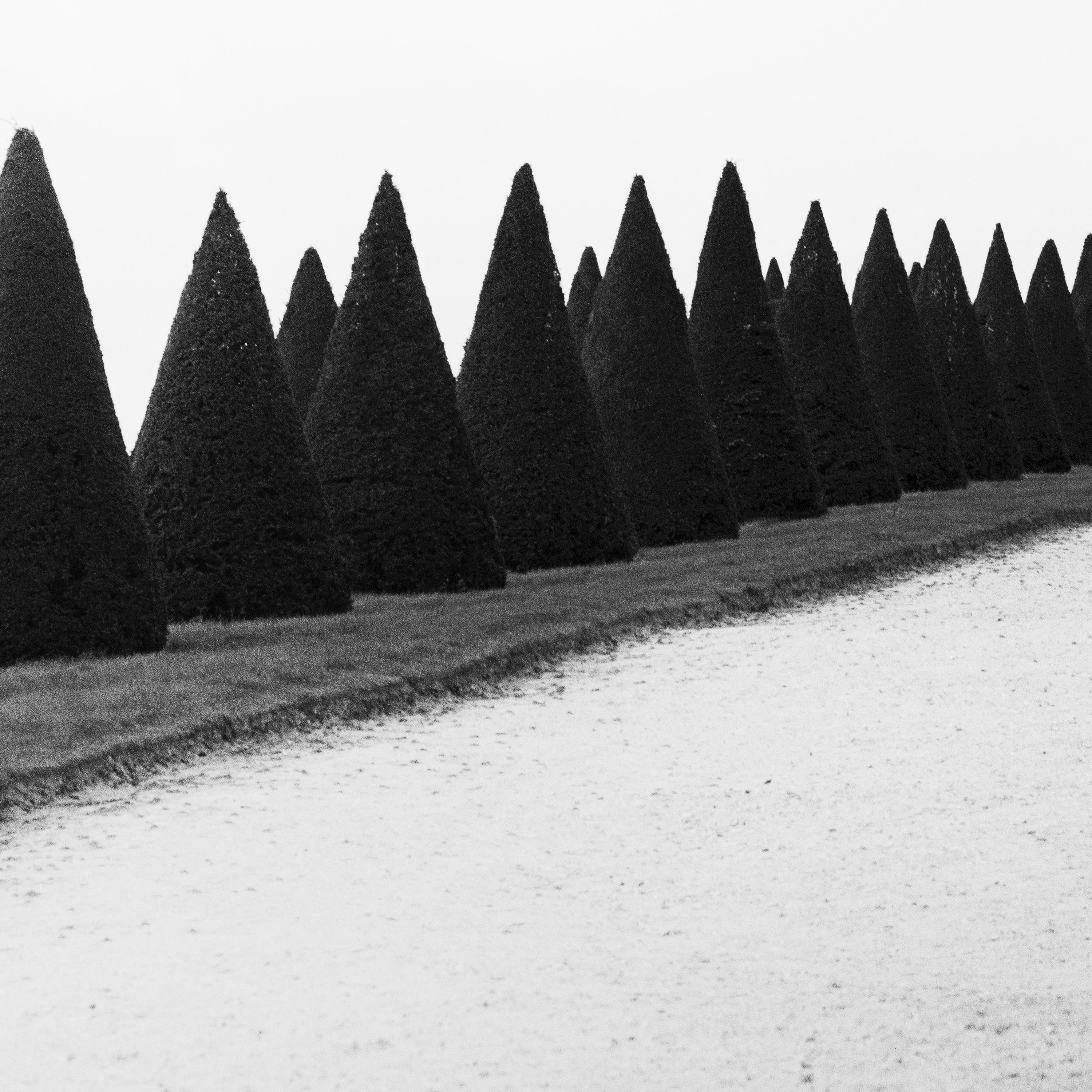 Hedges, Versailles, Paris, France, black and white fineart landscape photography For Sale 4